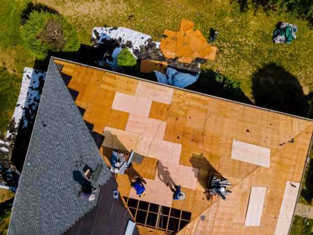 Roof Waterproofing Services in Overton, TX